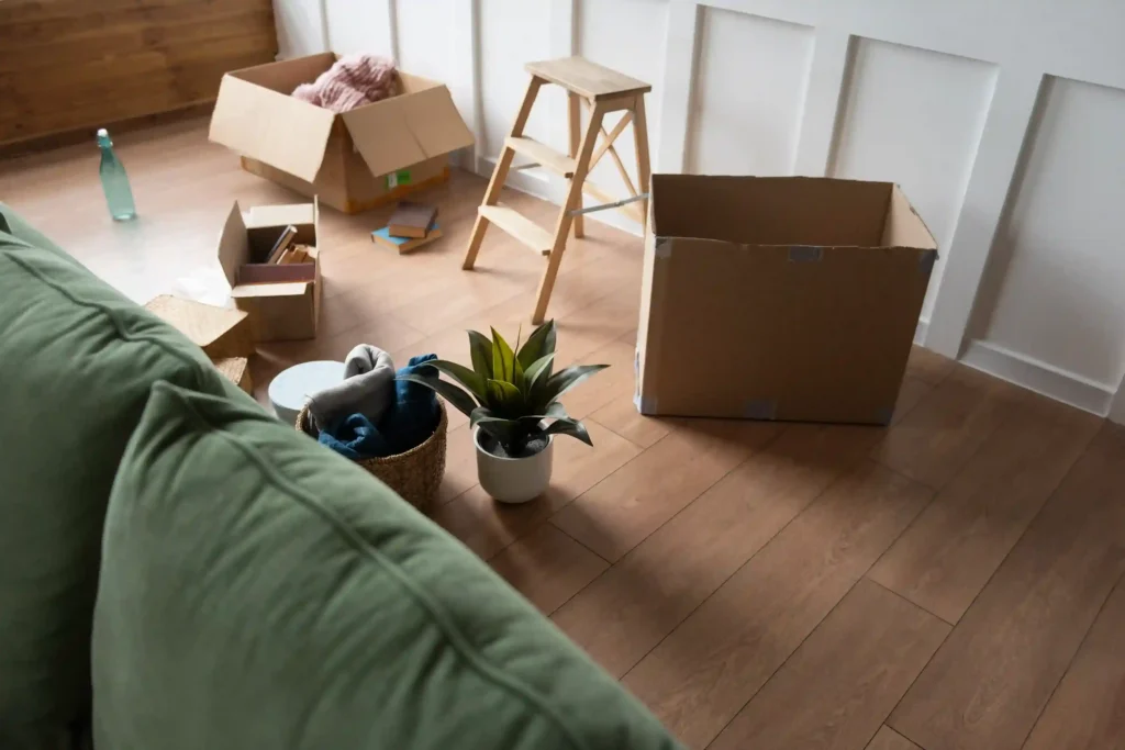 move in/move out cleaning