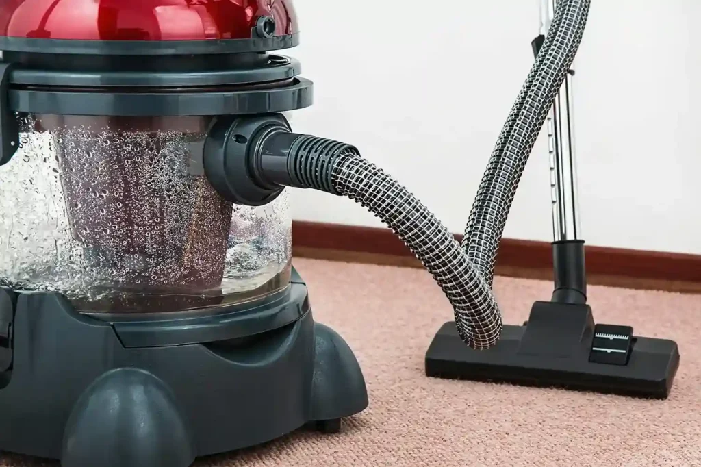 bacova cleaning services near me