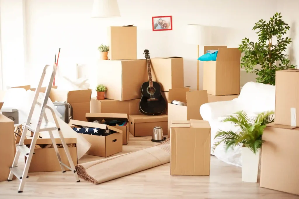 move in/move out cleaning