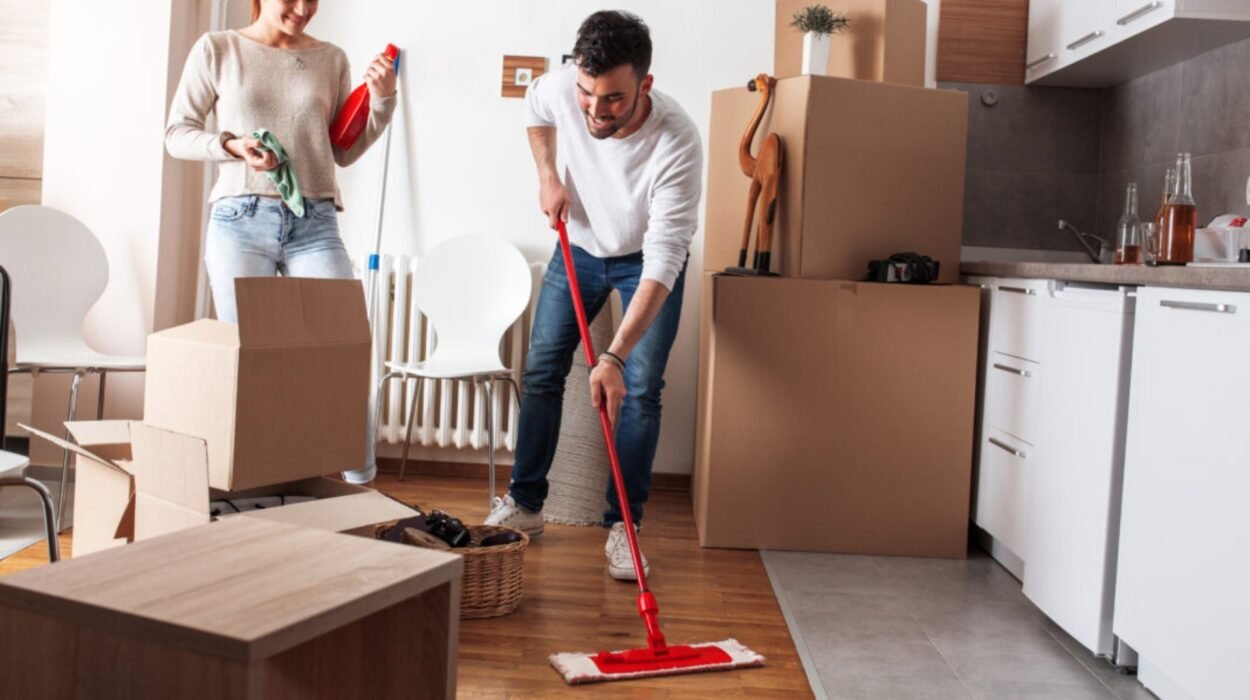 how to choose the best move in cleaning service in vale ridge