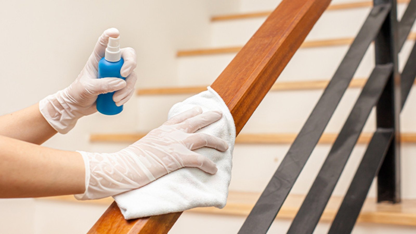 managing allergies and mold cleaning tips for leigh mill corridor residents