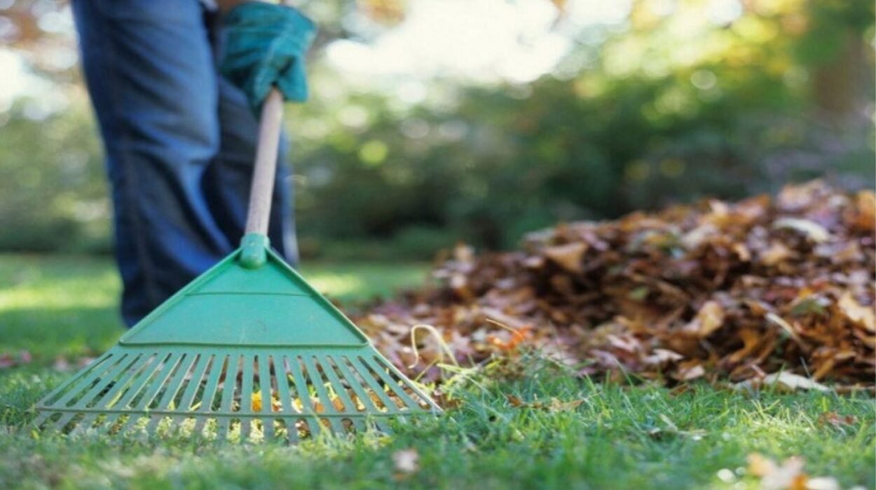 spring vs fall cleaning seasonal strategies for old bon air homeowners