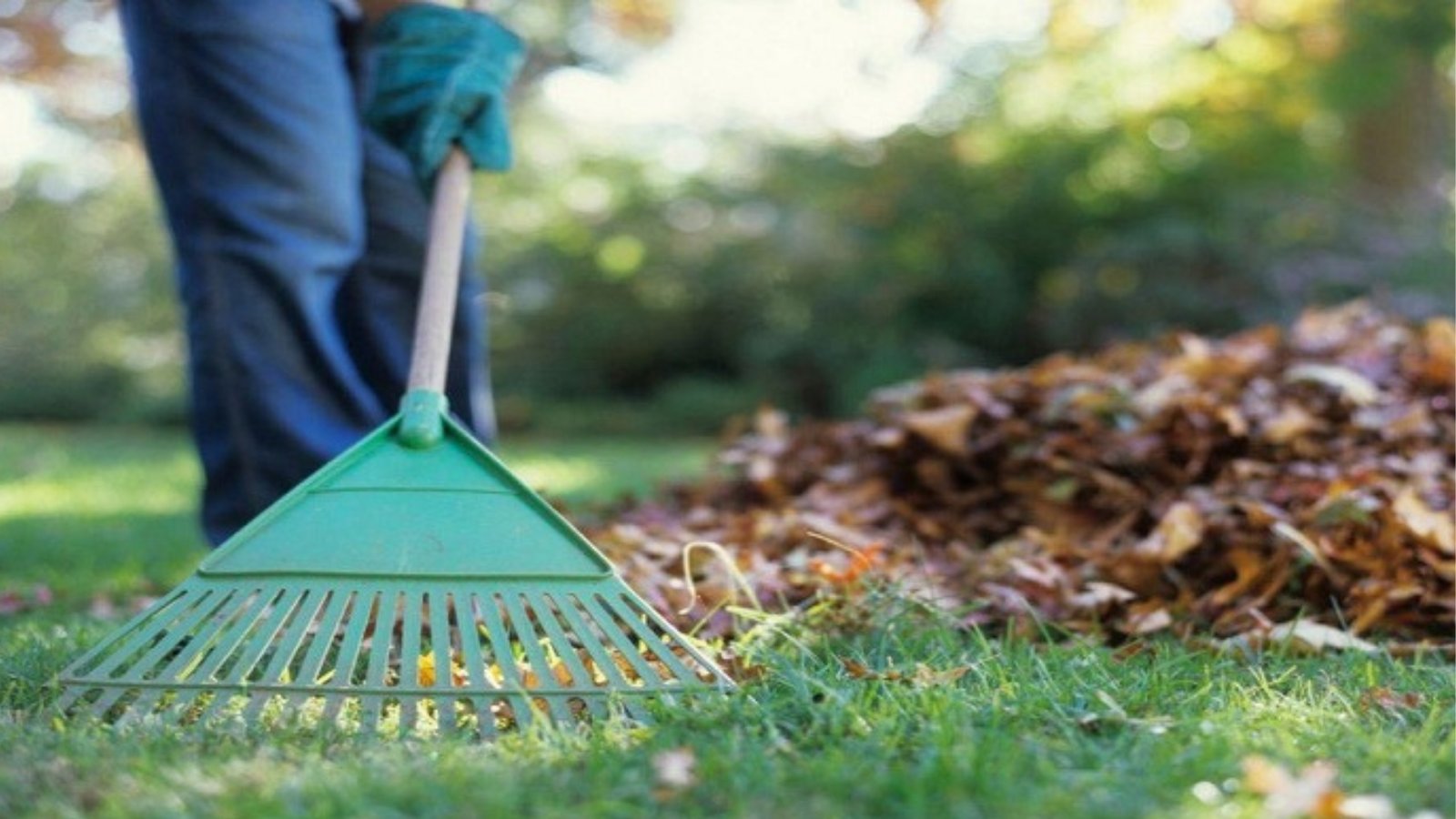 spring vs fall cleaning seasonal strategies for old bon air homeowners