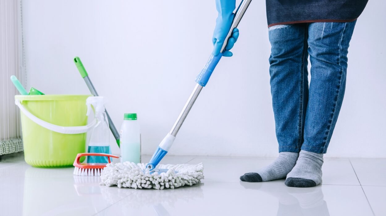 finding reliable residential cleaning near rockwood park in chesterfield
