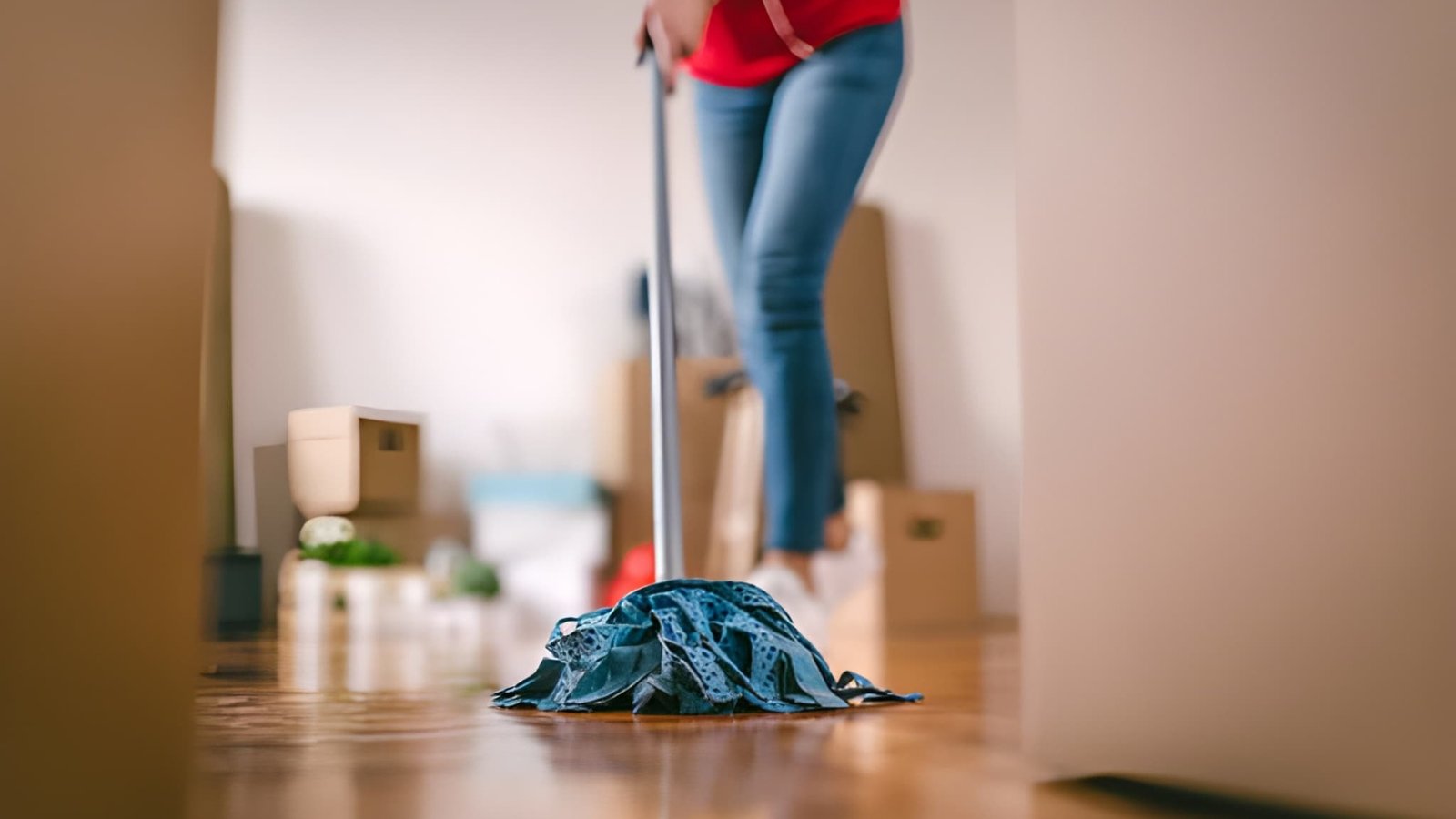 move in cleaning vs. move out cleaning in midlothian towne center