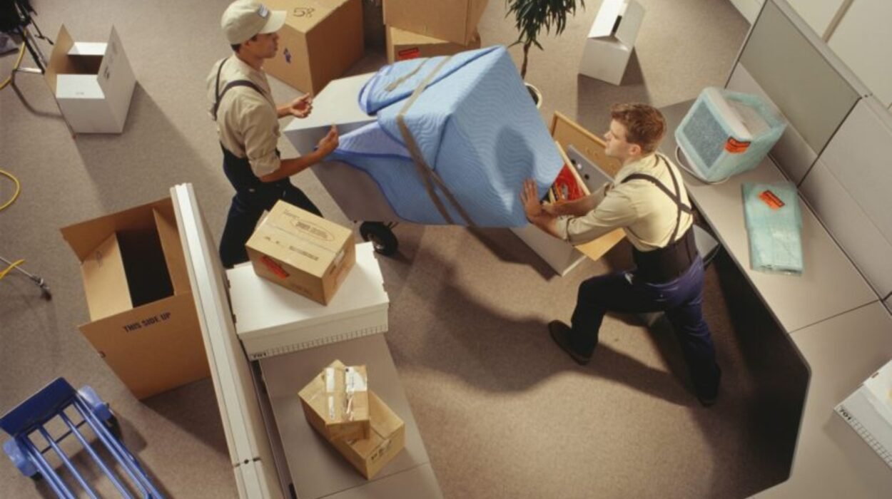 move out cleaning in chesterfield courthouse vs. midlothian what's different