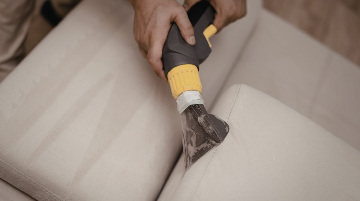 the best time of year to schedule a deep clean in woodland pond