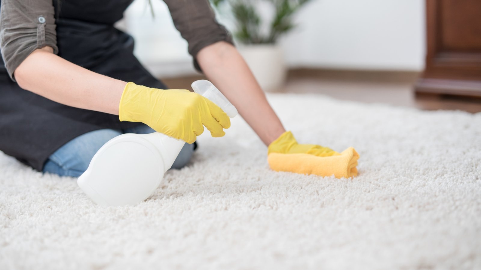 Townhome Cleaning Tips for Wescott Residents in Midlothian