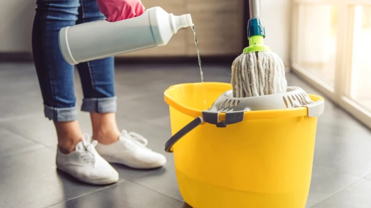 bay colony cleaning services maintaining virginia beach's most prestigious homes