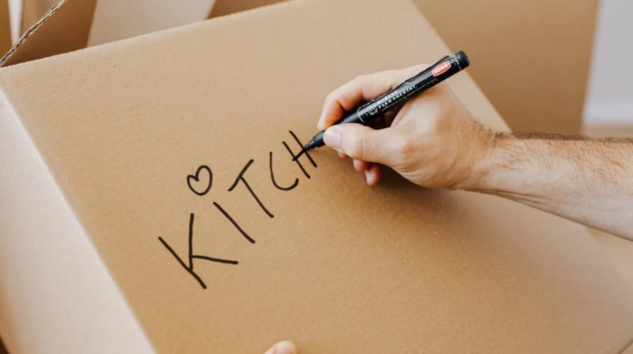 manassas move out cleaning what landlords and tenants both need to know